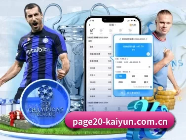 开云app官网 APP 界面